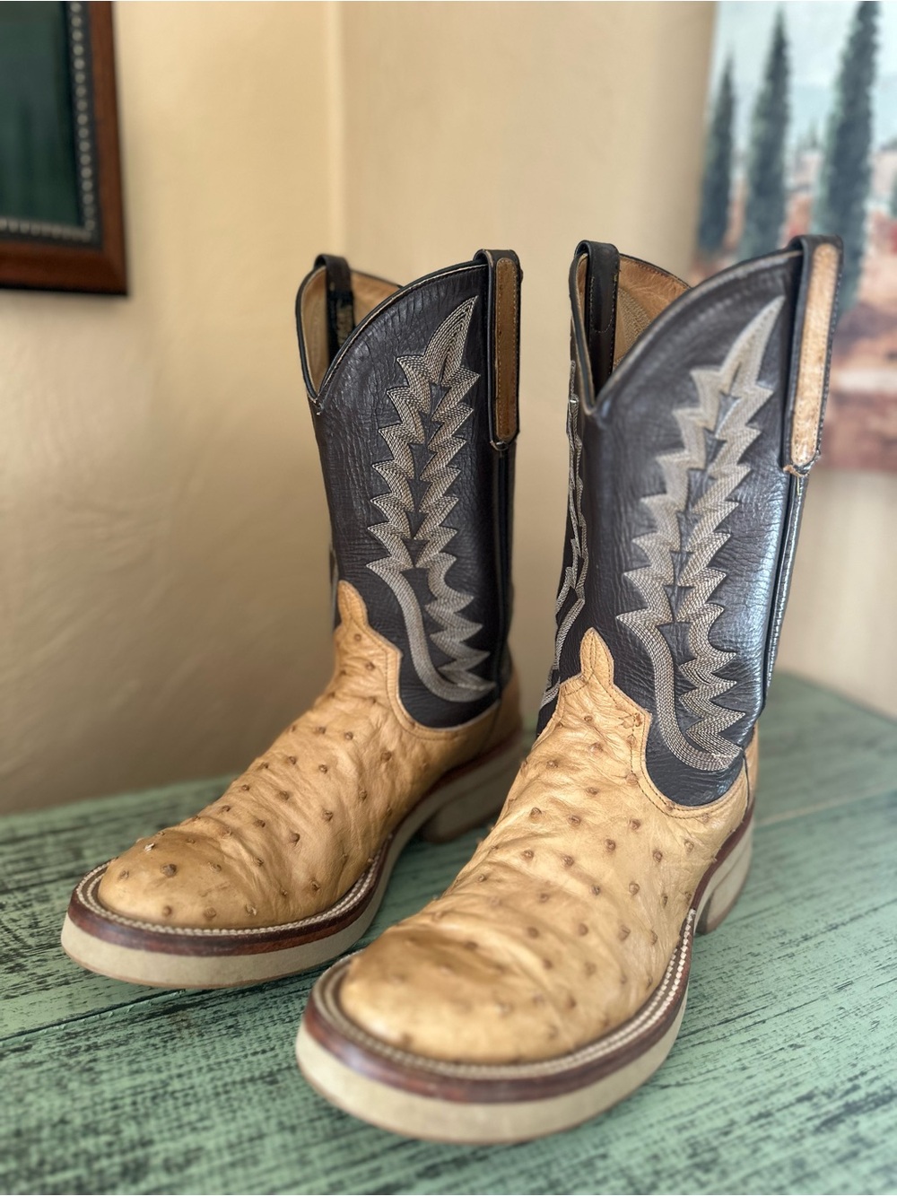 Vintage Pards The Advantage Collection Full-Quill Ostrich Cowboy Boots – USA